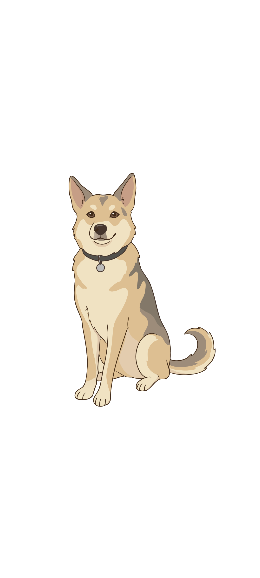 Happy dog